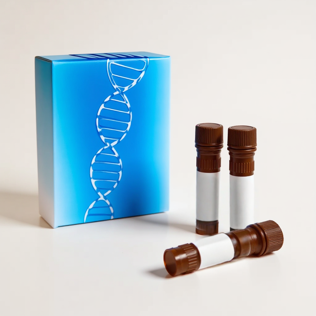 2’-O-MOE 5-Me Cytidine-200 nmol