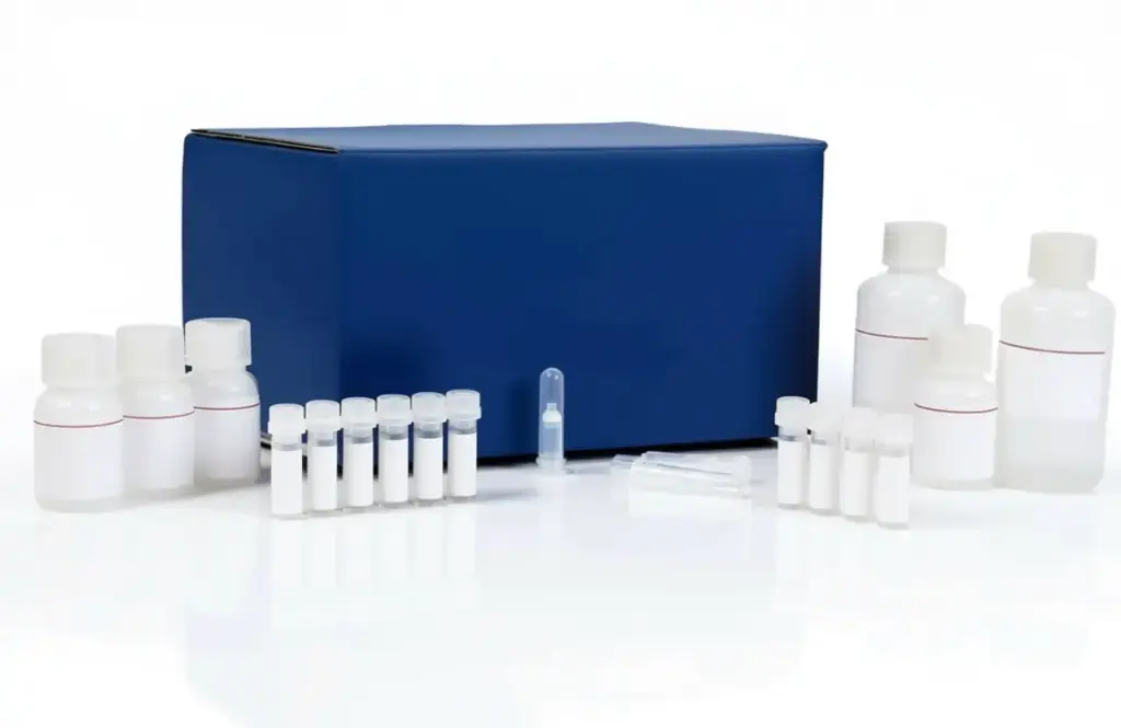  Neutrophil Elastase Activity Assay Kit (Fluorometric)