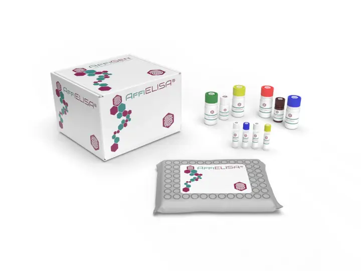 Human leukocyte exastase ELISA Kit - 96tests