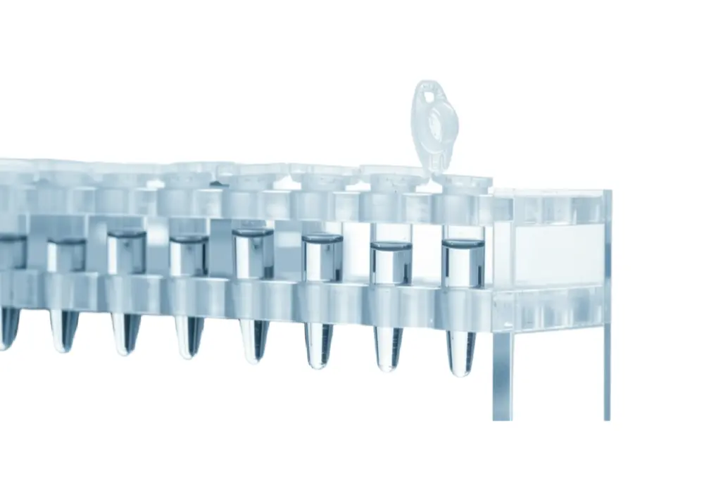 Actin- pan Antibody - 100µg