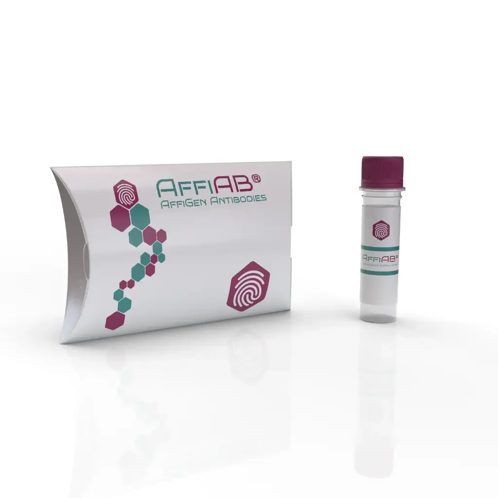 Brm Antibody - 100µg