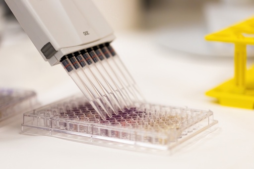 [TP307] Armadillo PCR Plate, Transcription , 96-Well  Clear Frame, White Wells - 25 Plates