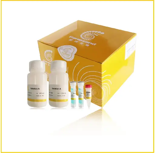 [PA101] BCA protein quantification kit