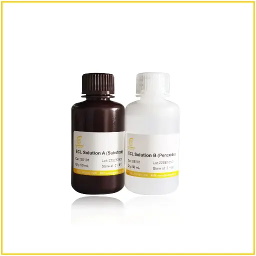 [SE101-500] 
Ultrasensitive ECL Chemiluminescence Detection Kit
