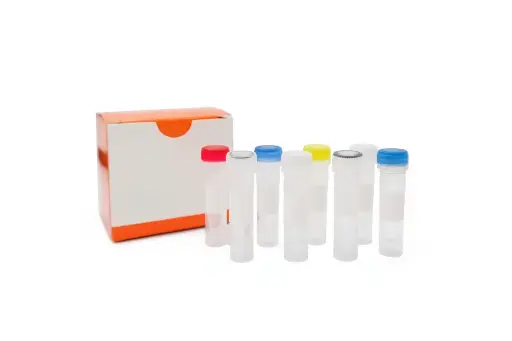 Human COX-2 ELISA Kit