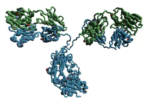 [BMA1037-sf] Monoclonal Anti- Prealbumin, PA antibody