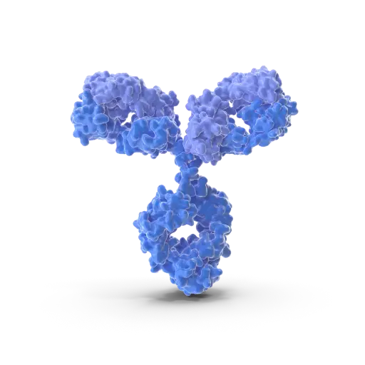 [ABF0058] Phospho- EPS15 (Tyr849)  Antibody - 100µg