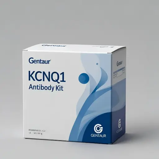 [ABD7568] KCNQ1 Antibody - 100 µg