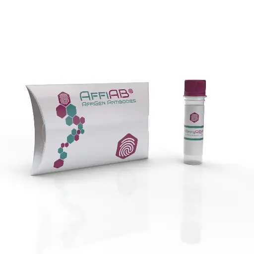 [ABD8509] Brm Antibody - 100µg